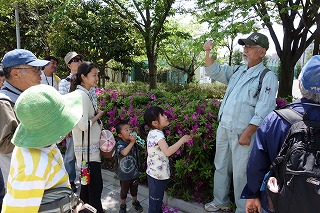 街路樹を通じて植物の特徴を学ぶ参加者たち