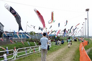 昨年の国分川鯉のぼりフェスティバルの様子